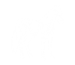Лошади